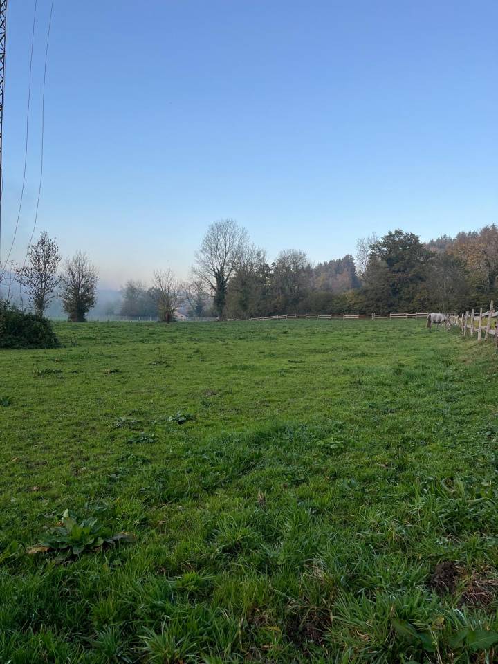 Pension Ecurie des Grands pr&eacute;s