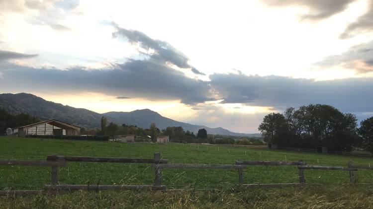 Pension Ecurie des Grands pr&eacute;s