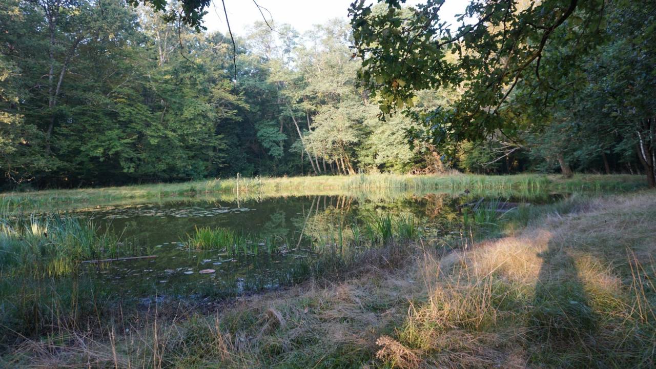 906543_1730950372_6732.jpg
