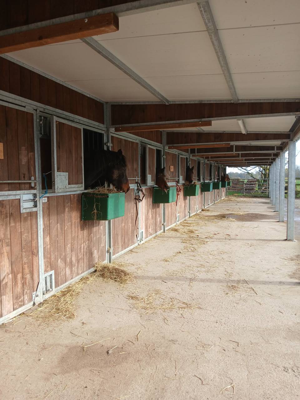 Pension sp&eacute;cialis&eacute;e pour vieux chevaux et 100% Bio