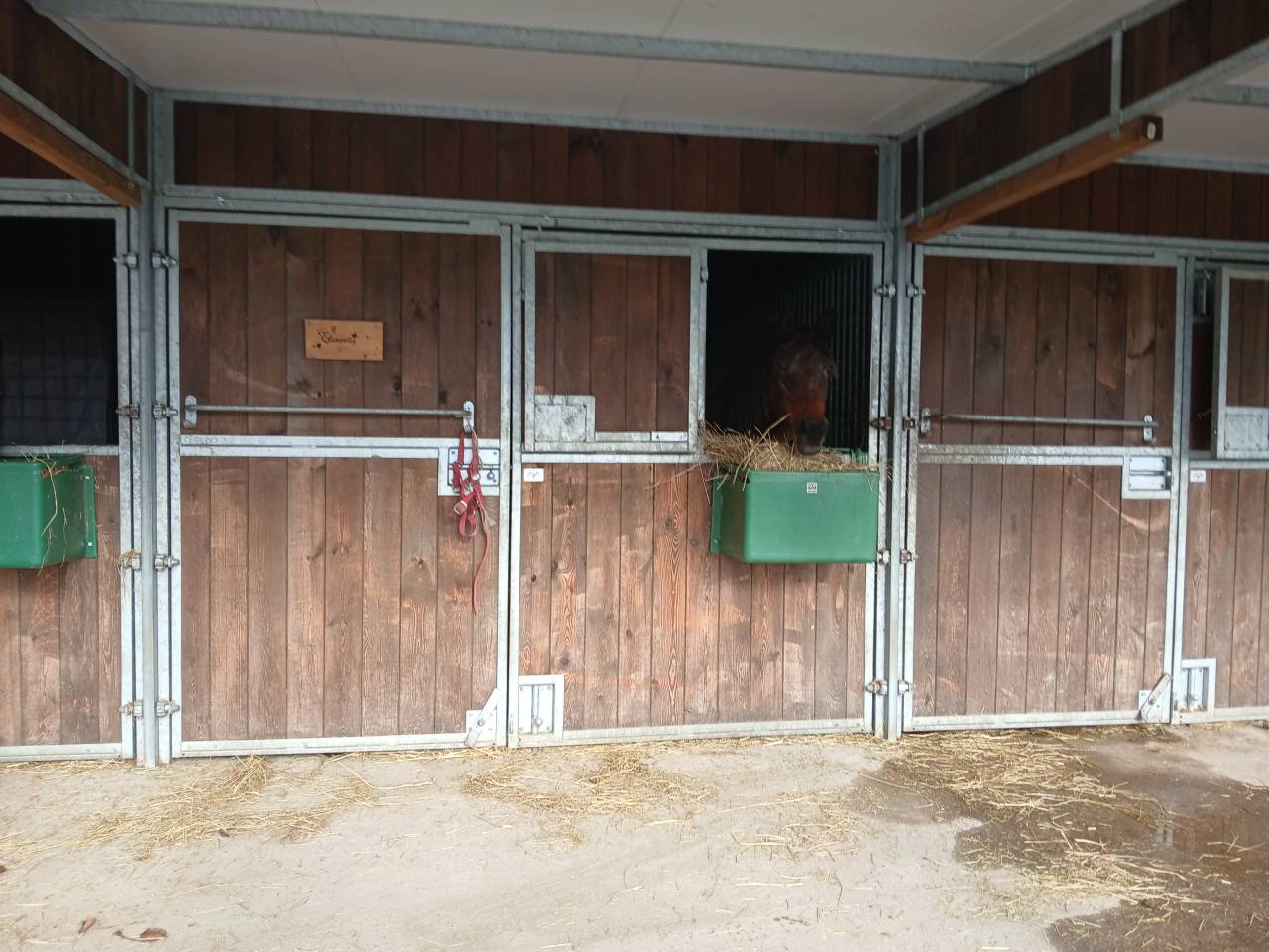 Pension sp&eacute;cialis&eacute;e pour vieux chevaux et 100% Bio