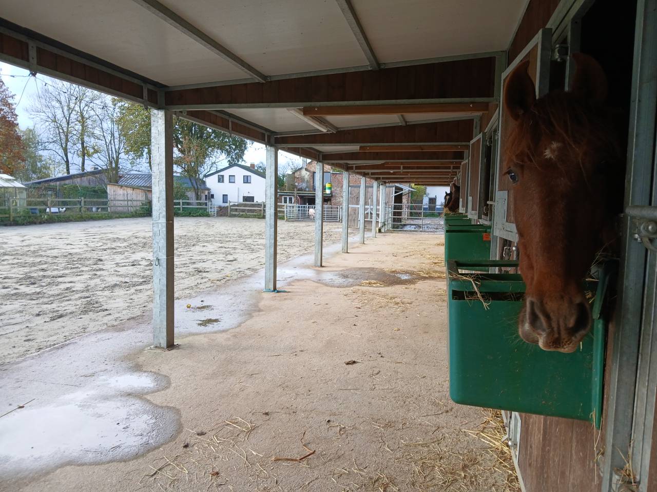 Pension sp&eacute;cialis&eacute;e pour vieux chevaux et 100% Bio