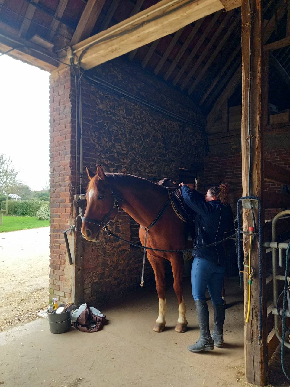 Propose stage d'enseignement au plus proche des chevaux