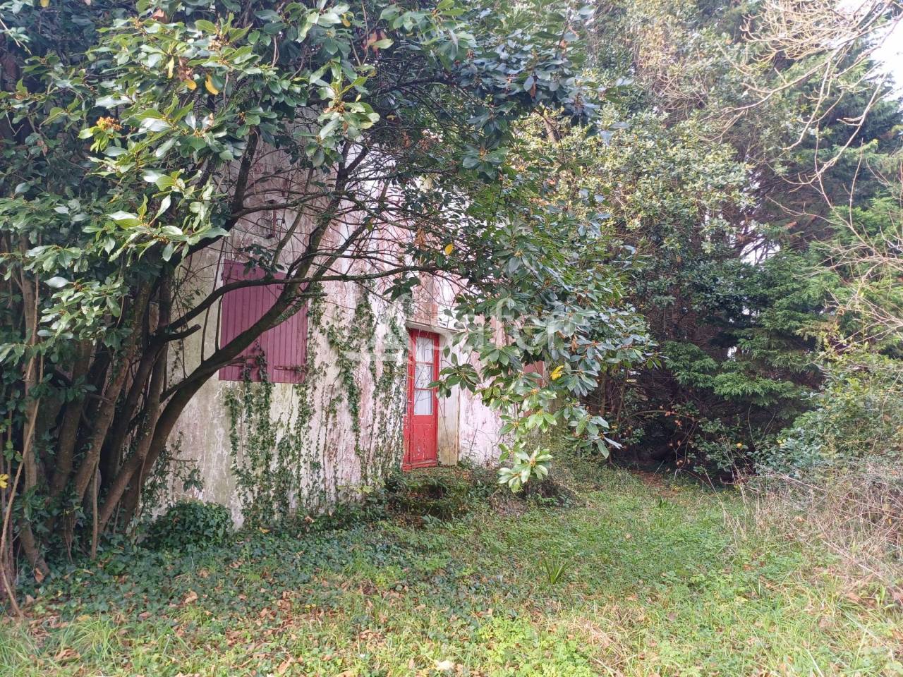 910145_1733196650_135.jpg