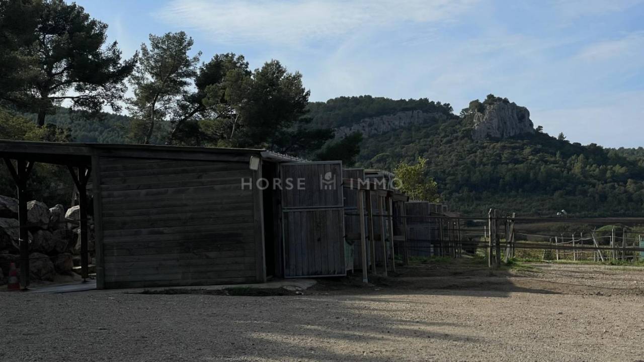 910647_1733236243_2096.jpg
