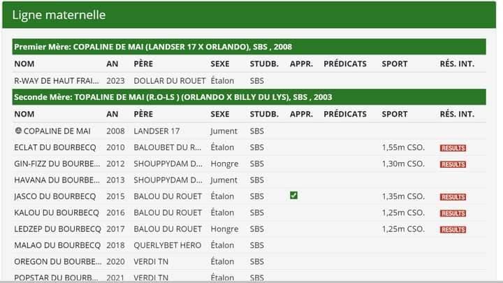 Superbe 2,5 ans par Dollar du Rouet