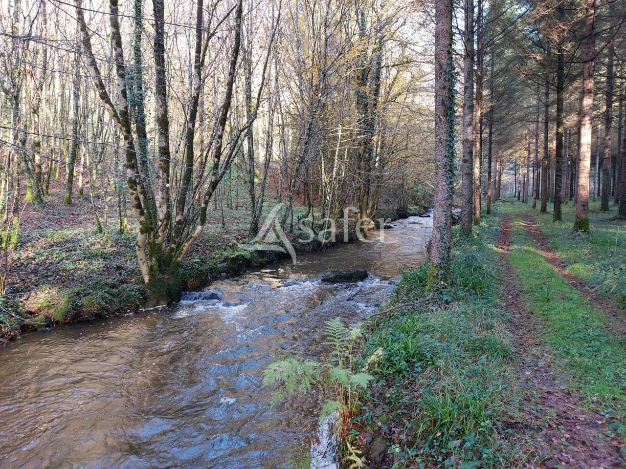 912740_1734579124_0079.jpg