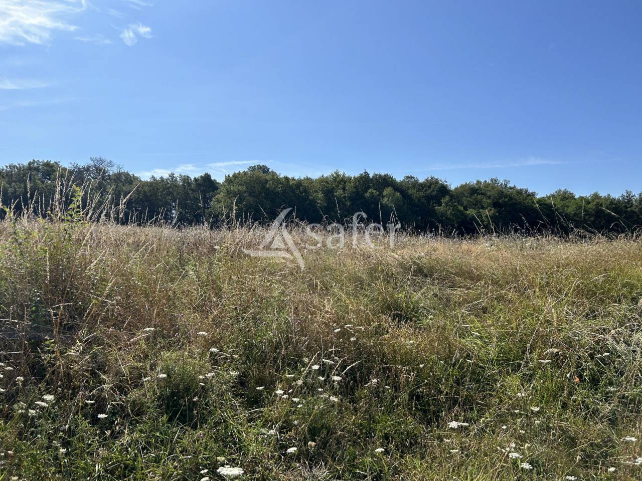 913295_1735011043_1919.jpg