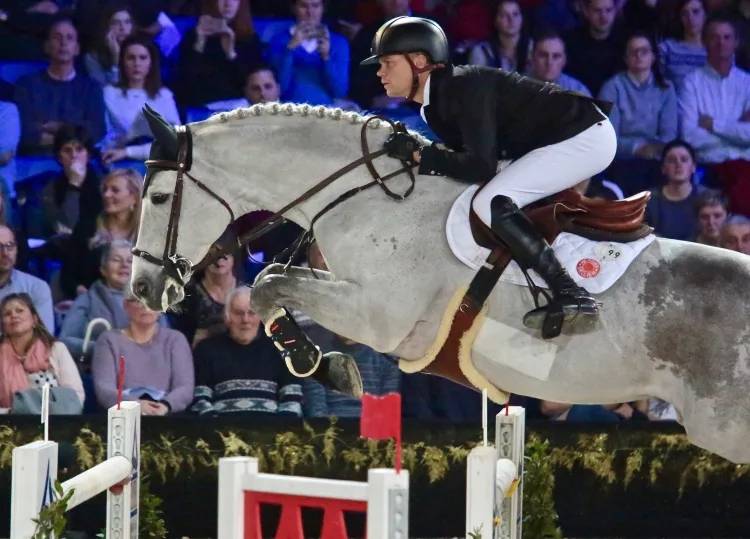 Poulinière pleine à vendre, souche Gerbe d'Or