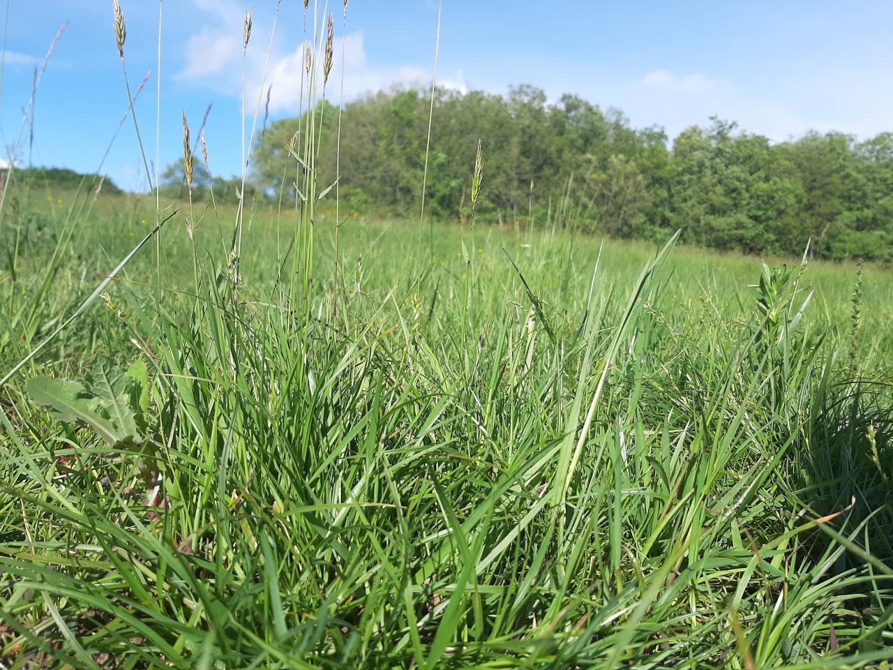 Pension pr&eacute;s 31480 Lagraulet st Nicolas