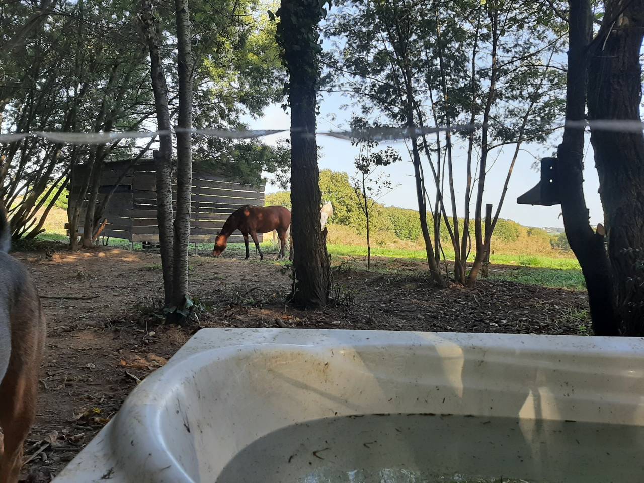 Pension pr&eacute;s 31480 Lagraulet st Nicolas