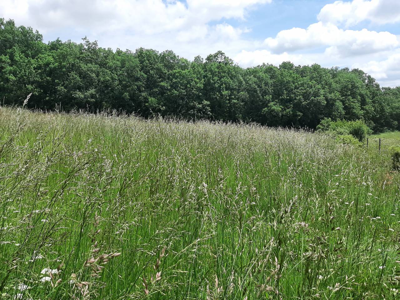 Pension pr&eacute;s 31480 Lagraulet st Nicolas