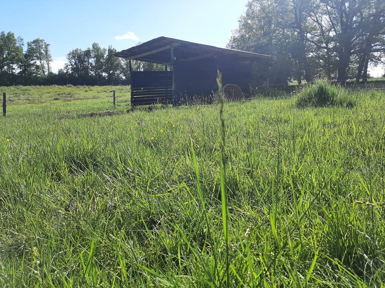 Pension pr&eacute;s 31480 Lagraulet st Nicolas