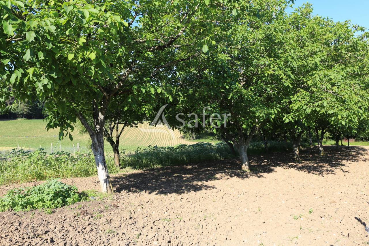 Propri&eacute;t&eacute; quercynoise sur 5 ha proche Cahors et A20