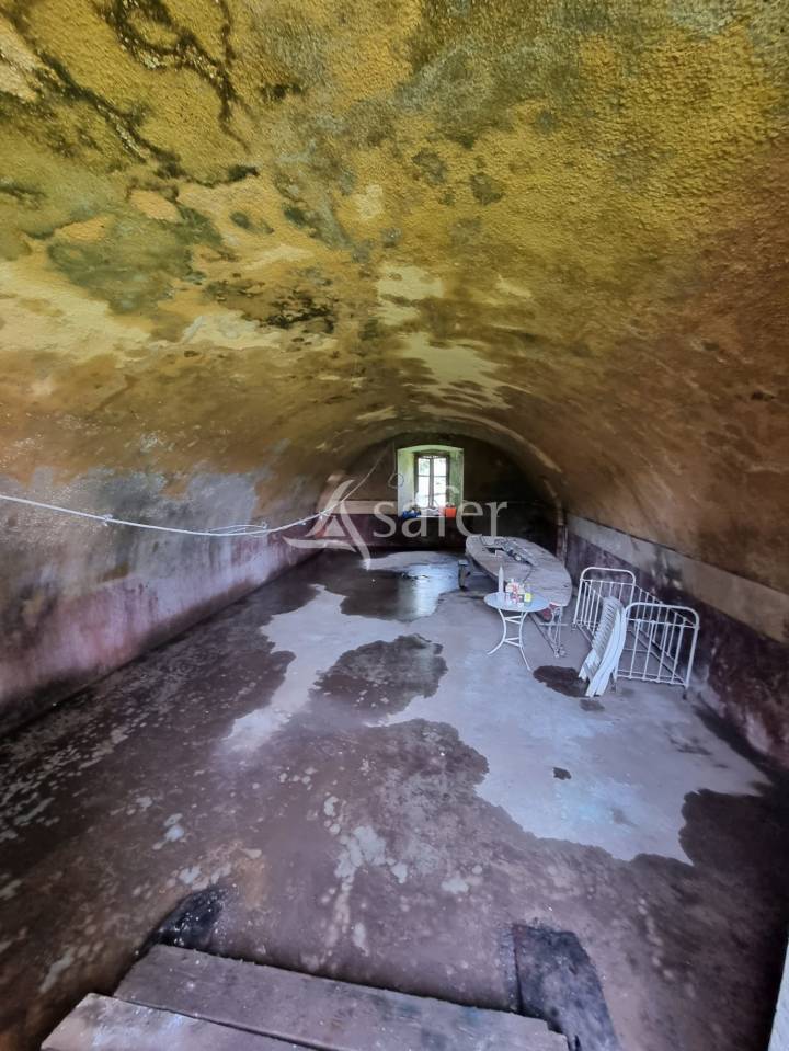 915143_1736393617_818.jpg