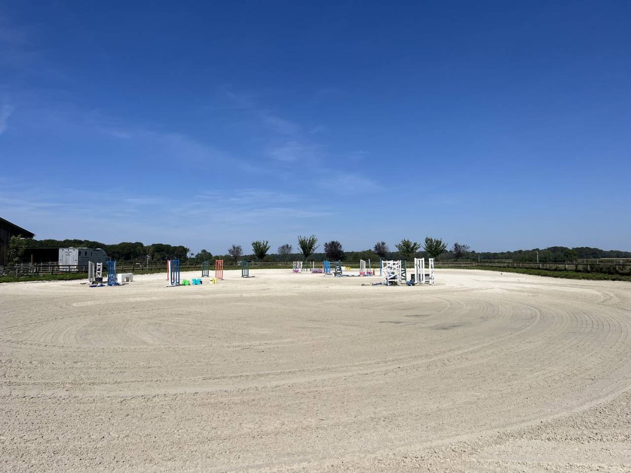 Haras Bor&eacute;al - &Eacute;curies Laura Saine