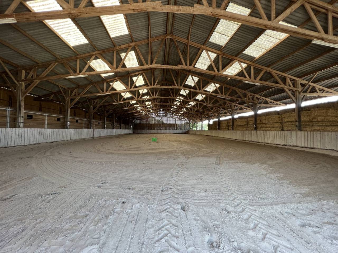 Haras Bor&eacute;al - &Eacute;curies Laura Saine