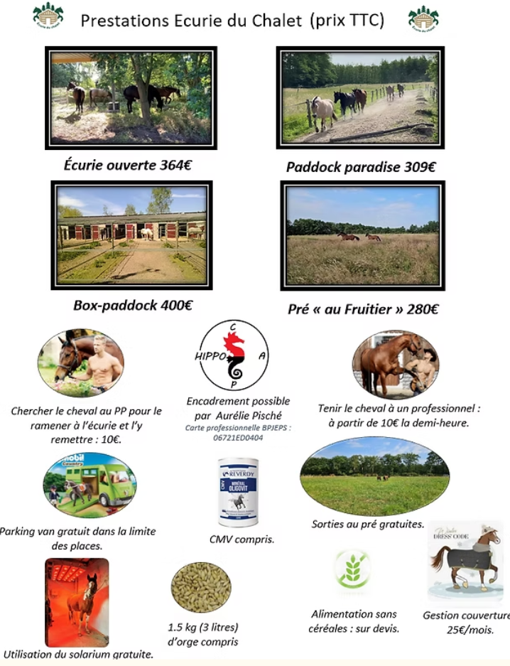 Ecurie du chalet - Pensions bien être