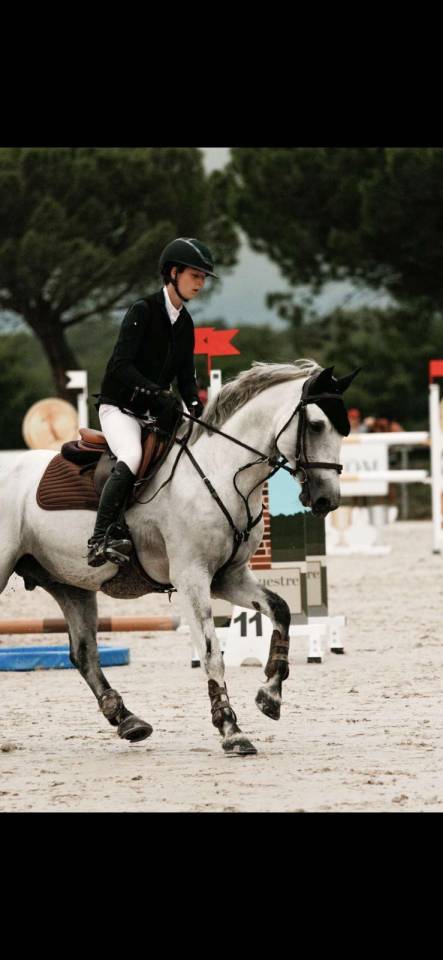 Saillis poney GAGNANT ASELITEEXCELLENCE