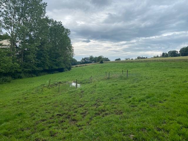 Pension au pr&eacute; chez particulier 69620 SAINT VERAND