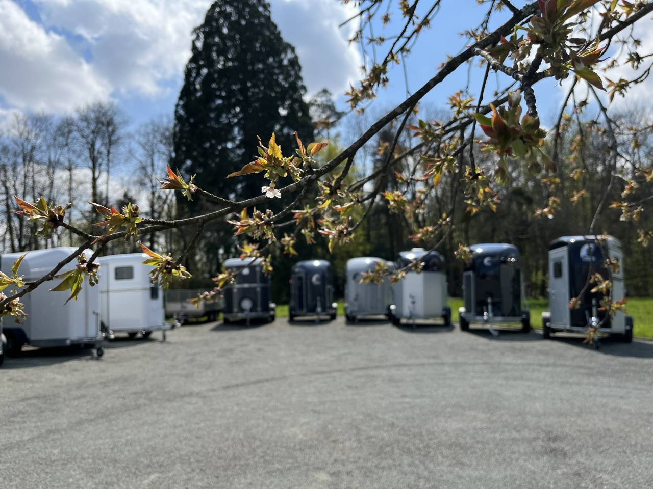 LCM - Le cheval Mobile concession van et camion