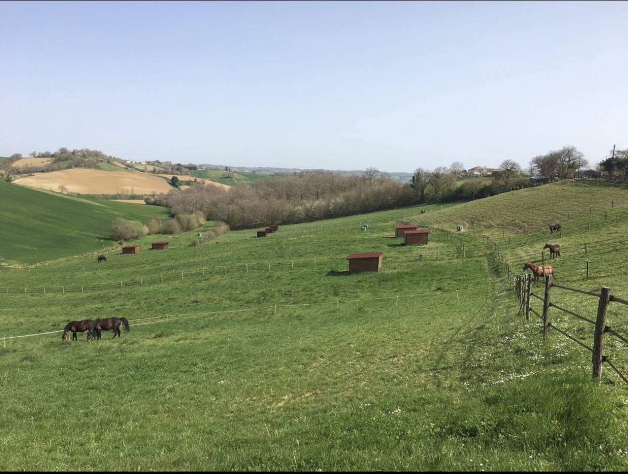 pensions pour chevaux