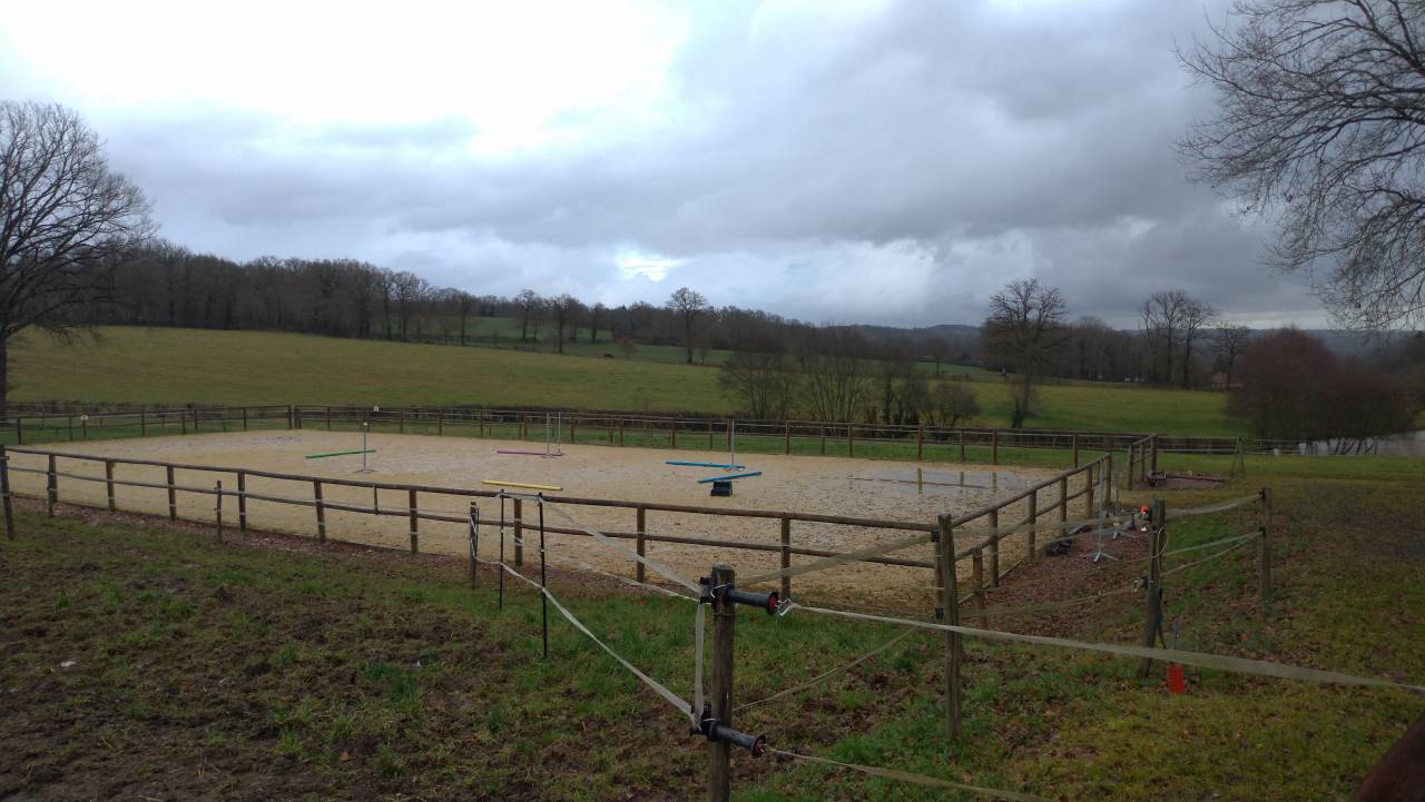 Pension cheval/poney au pr&eacute; avec abri (87200)