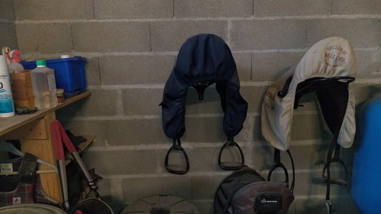 Pension cheval/poney au pr&eacute; avec abri (87200)