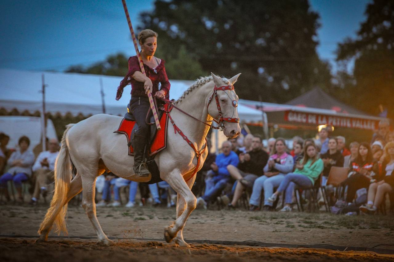 Etalon lusitanien cr&egrave;me 