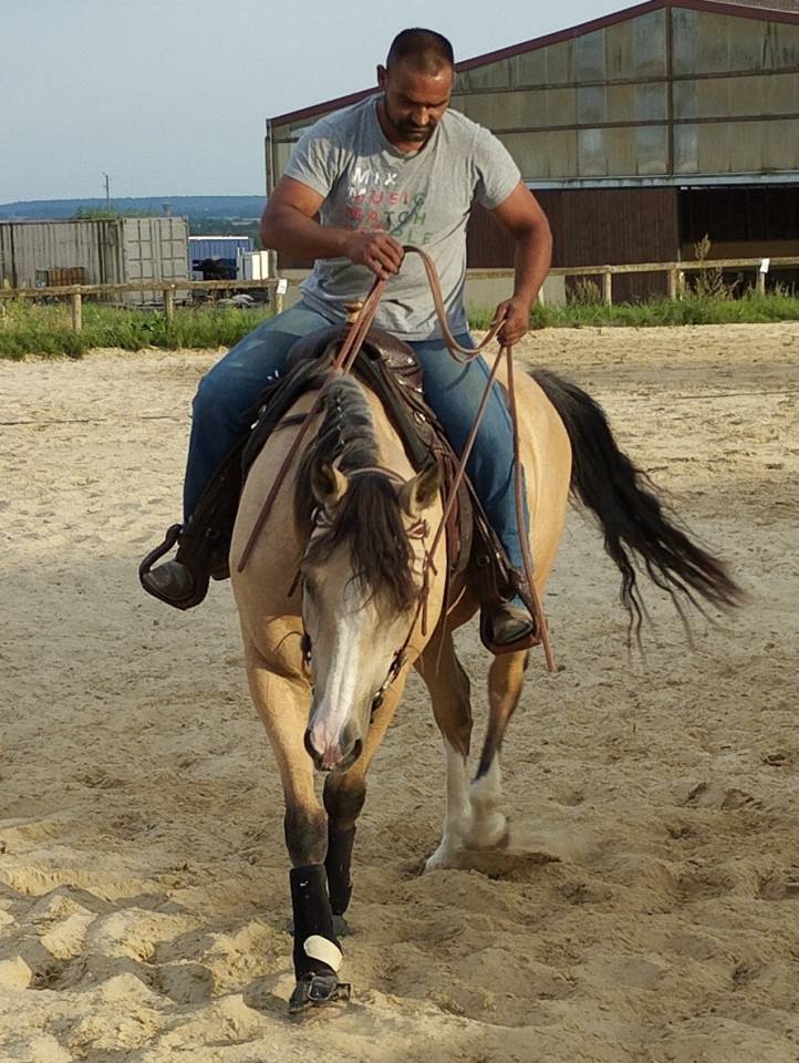 Vous cherchez un entraîneur expérimenté en équitation 