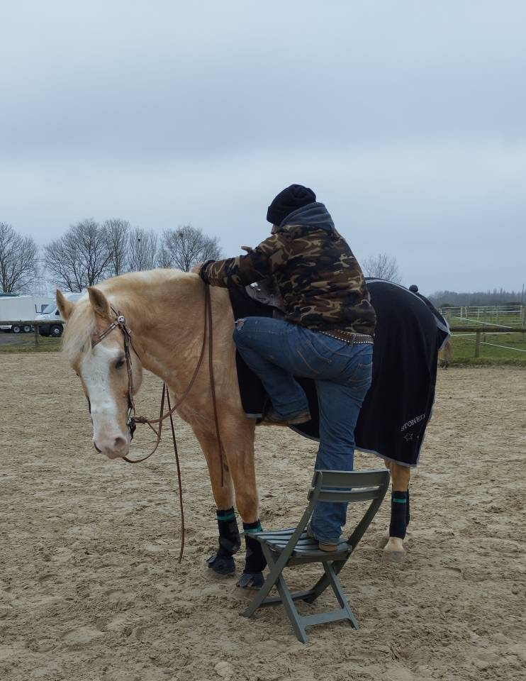 Vous cherchez un entraîneur expérimenté en équitation 