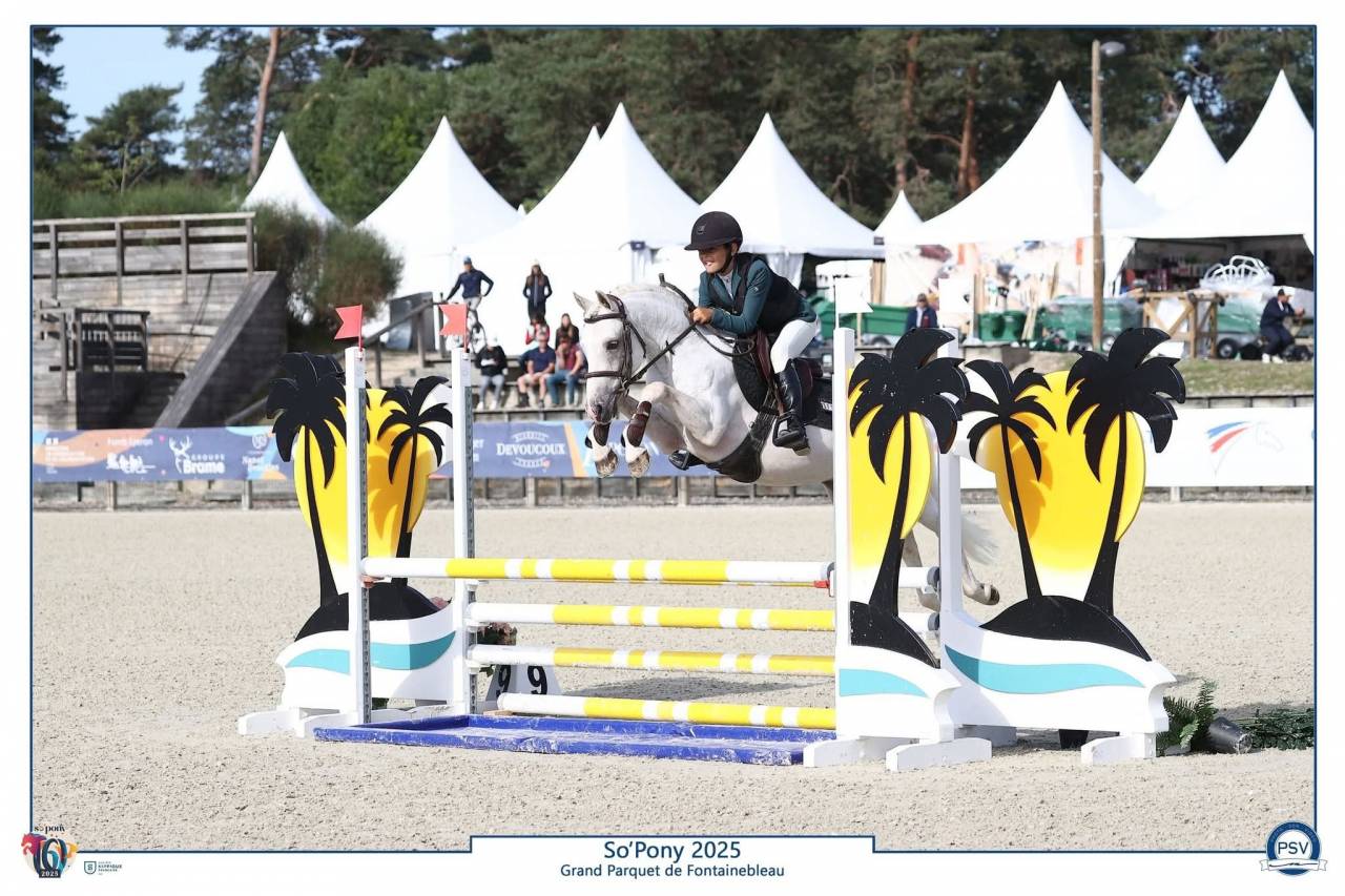 Saillie IAC PFS Léopard Palomino