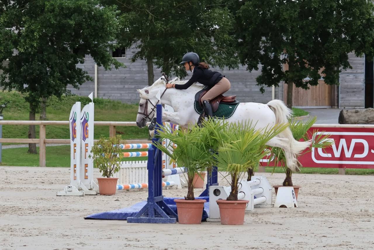 Saillie IAC PFS Léopard Palomino