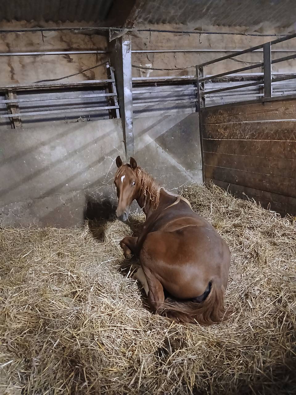 Pension bourg les Valence 