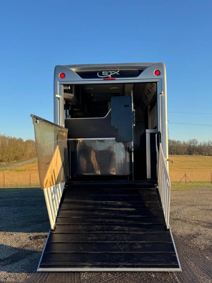 STX 6 CHEVAUX AVEC POP OUT ET PUSH UP - VENDU