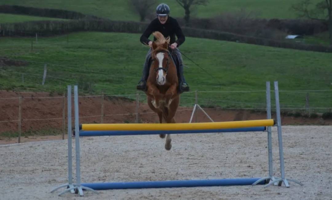 Pensions "bien-être" 