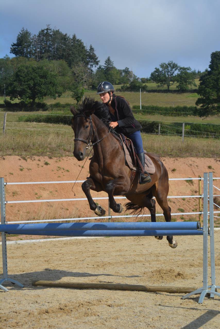Pensions "bien-être" 