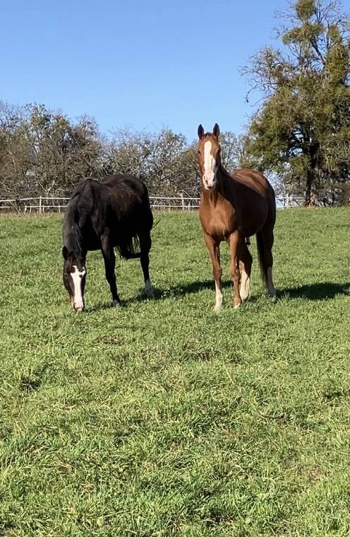&Eacute;curie active proche Suisse