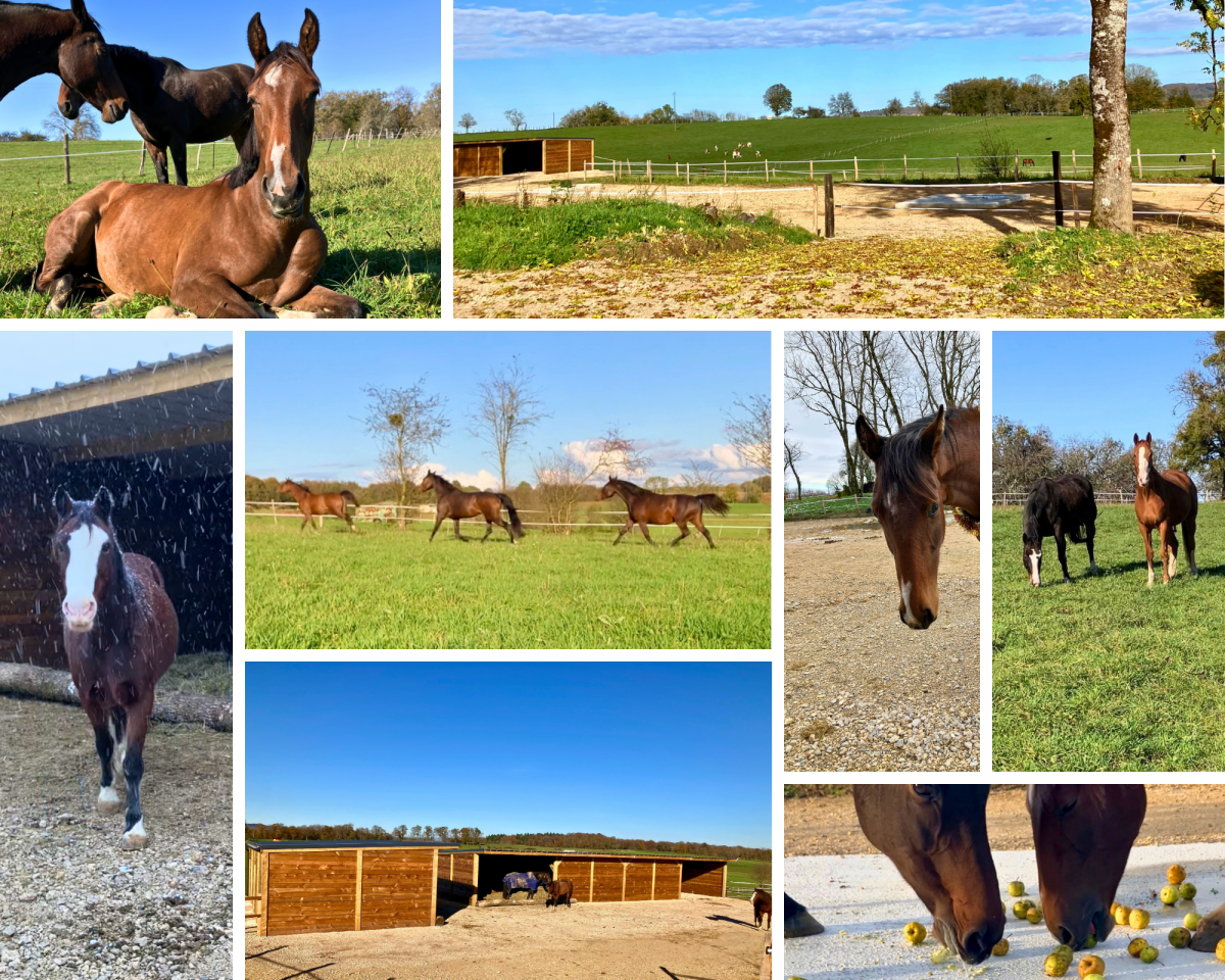 &Eacute;curie active proche Suisse