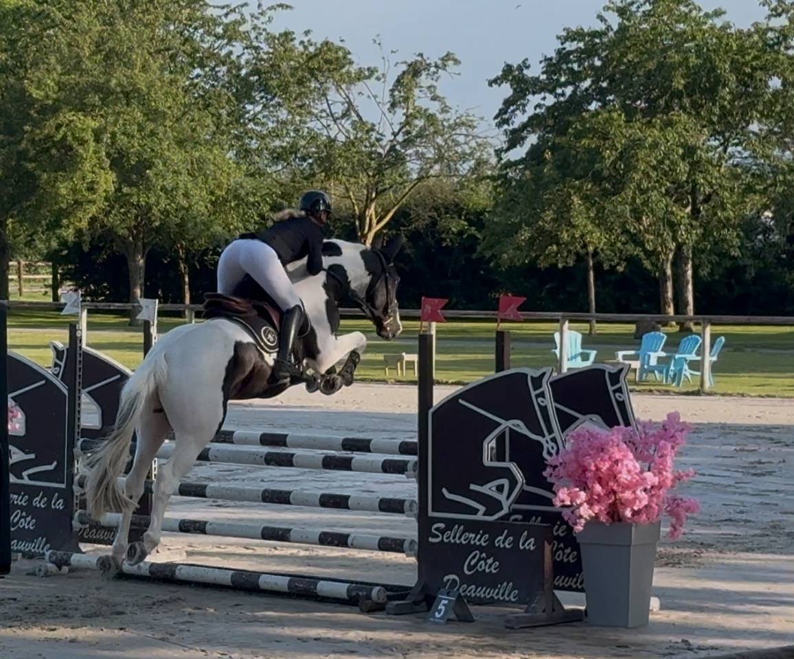 &Eacute;talon pie noir homozygote Linvictus d&rsquo;Enjoy 