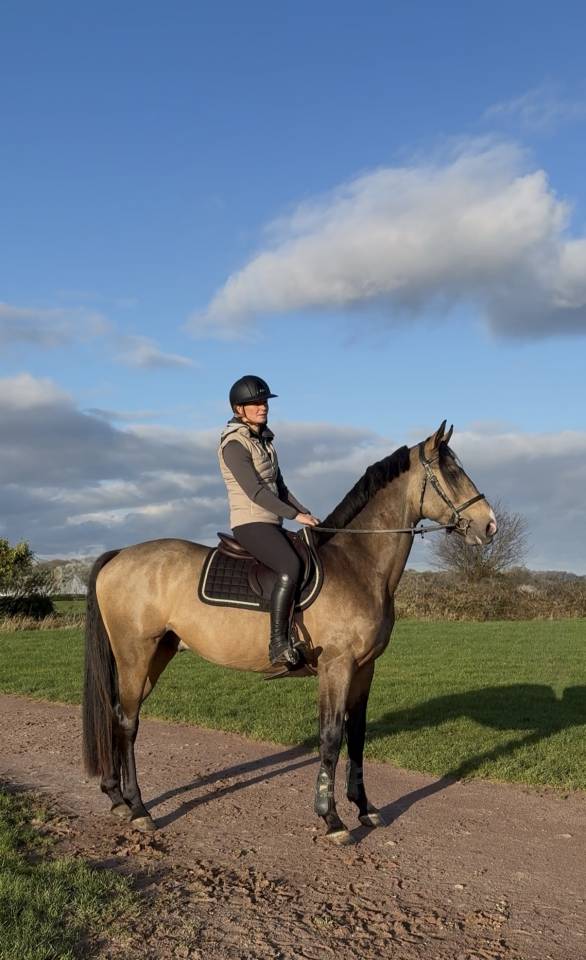 &Eacute;talon sport Isabelle souche de Mylord carthago