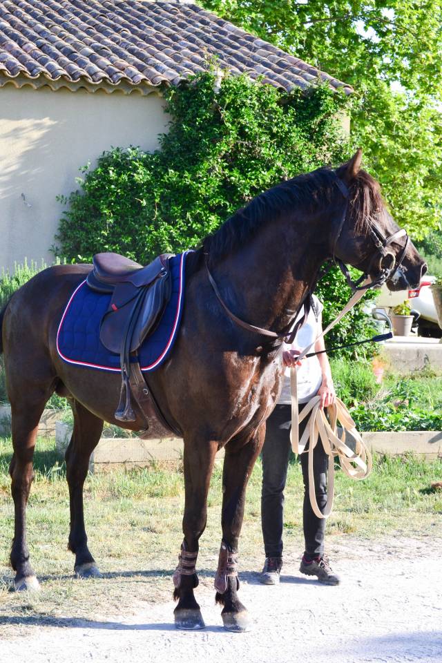 Entier PFS en monte en main 