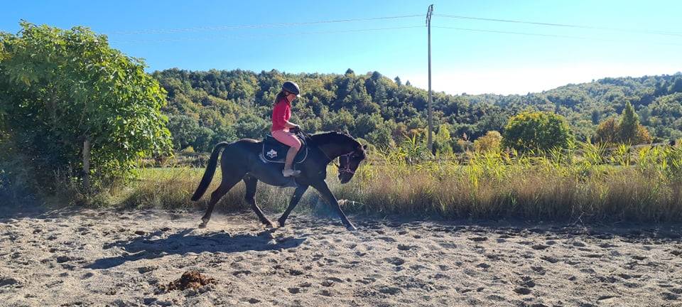 Entier PFS en monte en main 