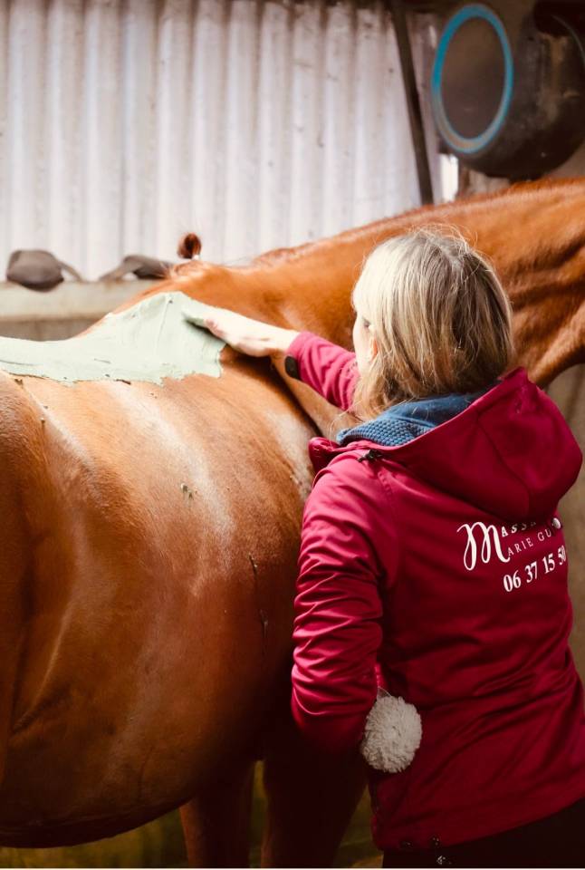 Balneotherapie cheval Deauville