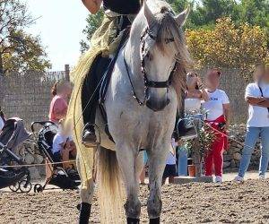CARDOSO: Un maître en piste et un compagnon d'aventrues