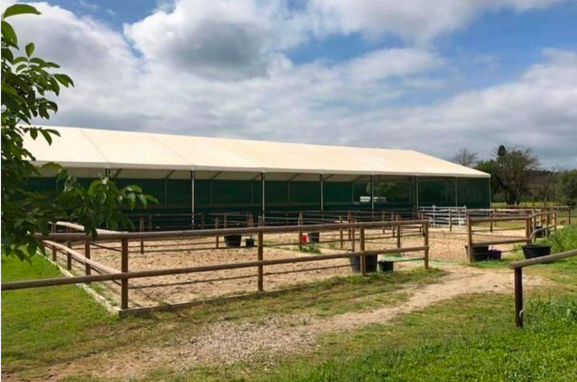 Pensions Chevaux - Haras du Griottier - 83460 Les Arcs sur Argens 
