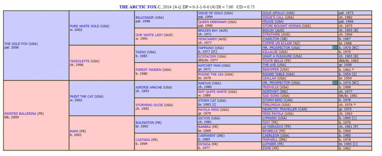 Etalon Pur Sang Anglais pie/isabelle