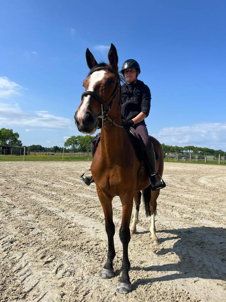 Pouliche Zangersheide 