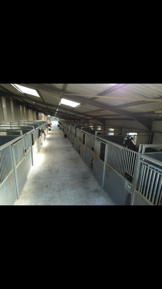 &Eacute;curie de propri&eacute;taire 