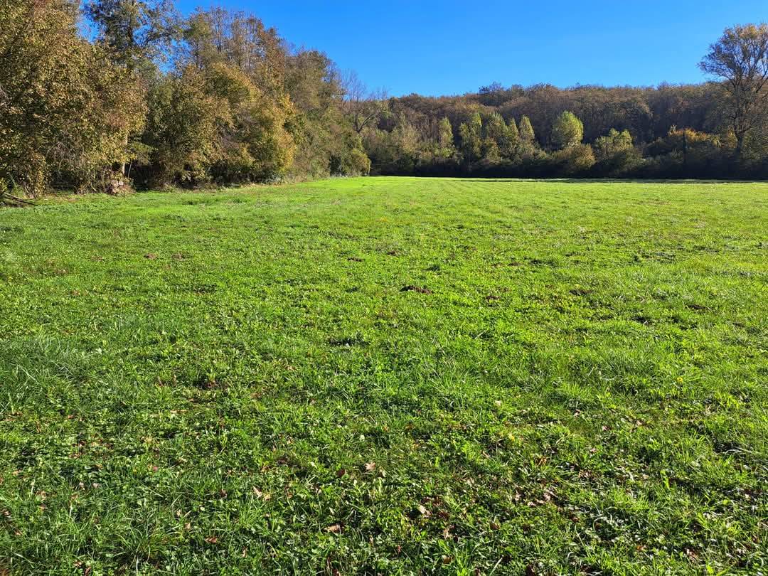 Pension chevaux retrait&eacute;s et loisirs